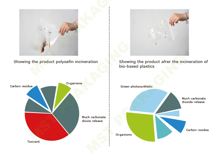 Bolsas de embalaje compostables ecológicas reciclan bolsa de café biodergradable