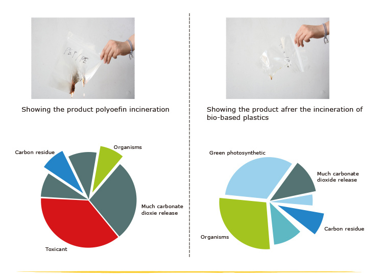 Reciclar fábrica de bolsas de transporte de almidón Doypack en China