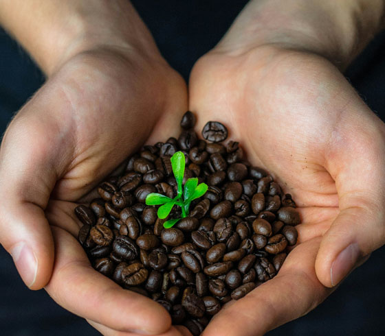 ผู้สนับสนุนการพัฒนาที่ยั่งยืน