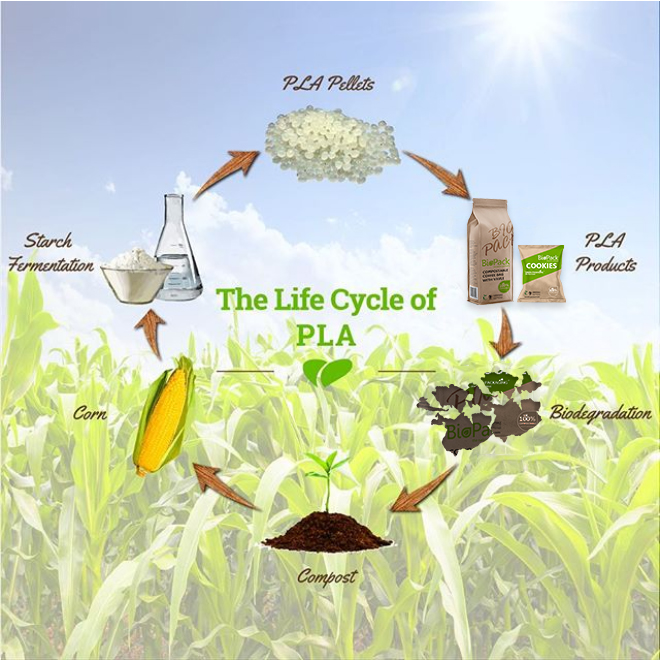 Biodegradable technology has a highly developed market