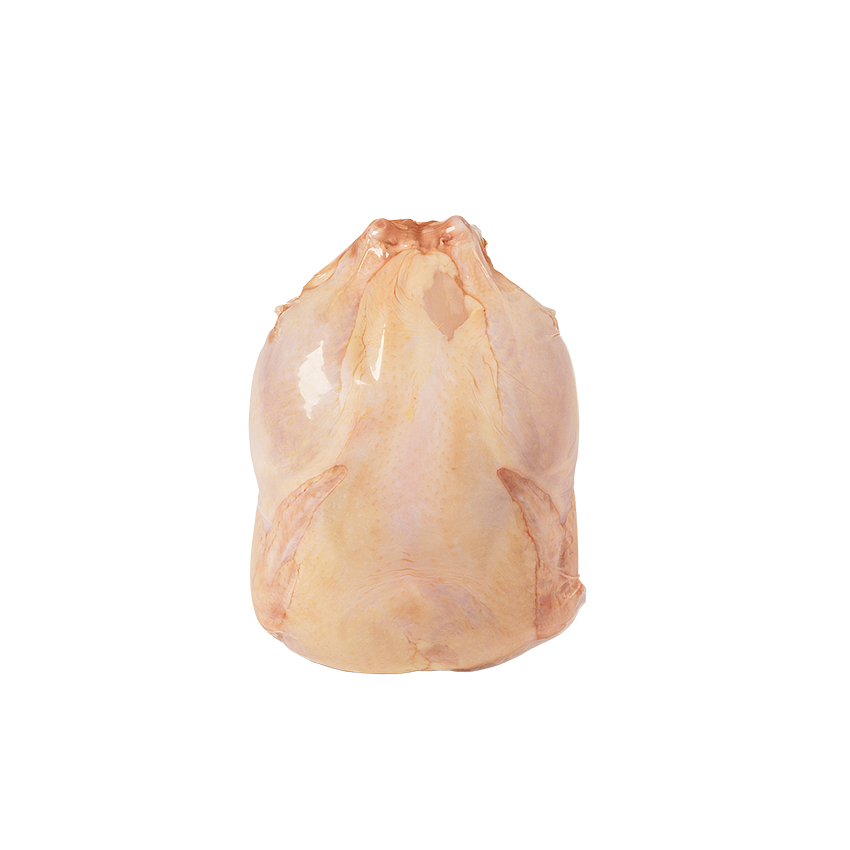 Environmentally Friendly Food Safe Heat Seal Vacuum Shrink Bags for Whole Chickens