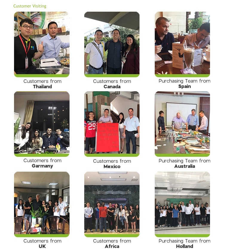 قابل للتحلل الحيوي سعر المصنع مواد العزل بالجملة في الصين